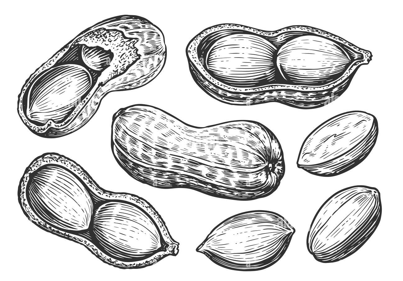 Le Omer (choco/ cacahuète)