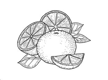 Le Mariah (choco /orange )